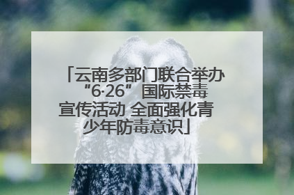 云南多部门联合举办“6·26”国际禁毒宣传活动 全面强化青少年防毒意识