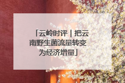 云岭时评｜把云南野生菌流量转变为经济增量