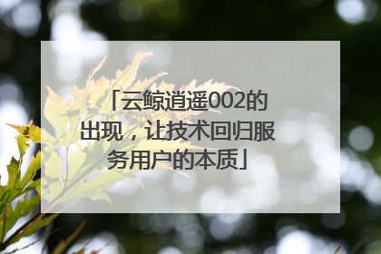 云鲸逍遥002的出现，让技术回归服务用户的本质