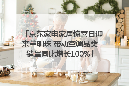 京东家电家居惊喜日迎来董明珠 带动空调品类销量同比增长100%