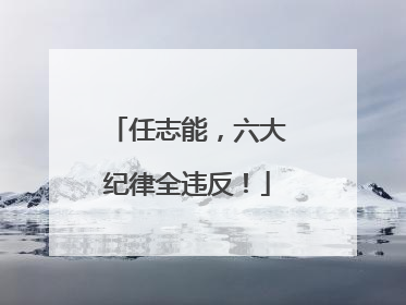 任志能，六大纪律全违反！