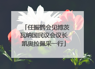 任振鹤会见博茨瓦纳国民议会议长凯奥拉佩采一行
