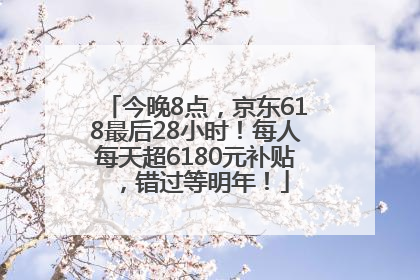 今晚8点，京东618最后28小时！每人每天超6180元补贴，错过等明年！