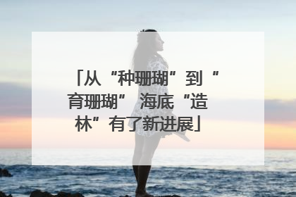 从“种珊瑚”到“育珊瑚” 海底“造林”有了新进展