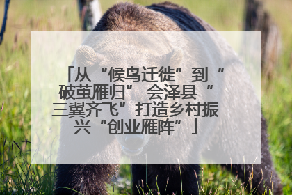 从“候鸟迁徙”到“破茧雁归” 会泽县“三翼齐飞”打造乡村振兴“创业雁阵”