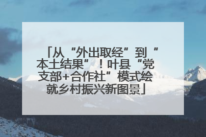 从“外出取经”到“本土结果”！叶县“党支部+合作社”模式绘就乡村振兴新图景