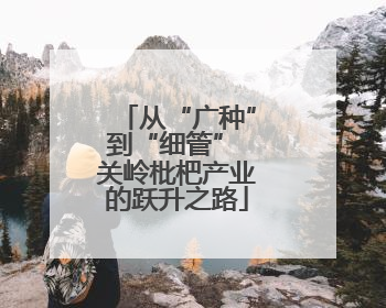 从“广种”到“细管” 关岭枇杷产业的跃升之路