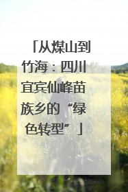 从煤山到竹海：四川宜宾仙峰苗族乡的“绿色转型”