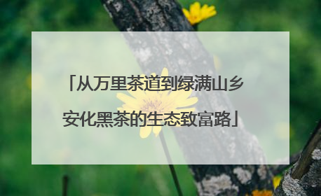 从万里茶道到绿满山乡 安化黑茶的生态致富路