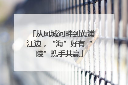 从凤城河畔到黄浦江边，“海”好有“陵”携手共赢