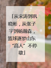 从宋涛到巩晓彬，从张子宇到杨瀚森，篮球逐梦山东“高人”不停歇