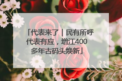 代表来了｜民有所呼代表有应，增江400多年古码头焕新