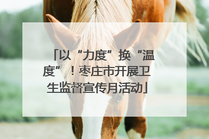 以“力度”换“温度”！枣庄市开展卫生监督宣传月活动