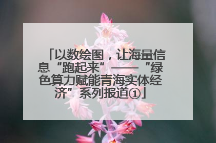 以数绘图，让海量信息“跑起来”——“绿色算力赋能青海实体经济”系列报道①
