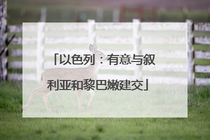 以色列：有意与叙利亚和黎巴嫩建交
