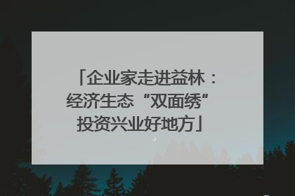 企业家走进益林：经济生态“双面绣” 投资兴业好地方