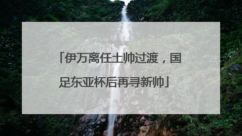 伊万离任土帅过渡，国足东亚杯后再寻新帅