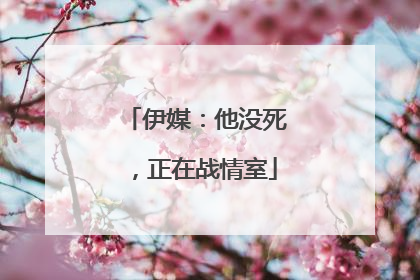 伊媒：他没死，正在战情室