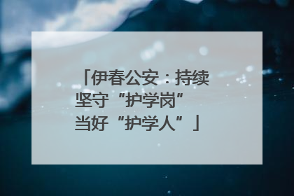 伊春公安：持续坚守“护学岗” 当好“护学人”