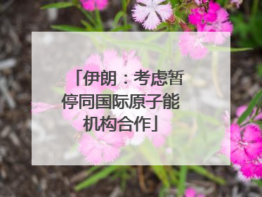 伊朗：考虑暂停同国际原子能机构合作