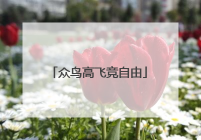 众鸟高飞竞自由