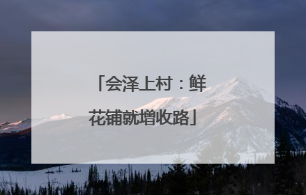 会泽上村：鲜花铺就增收路