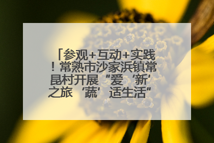 参观+互动+实践！常熟市沙家浜镇常昆村开展“爱‘新’之旅‘蔬’适生活”参观学习活动