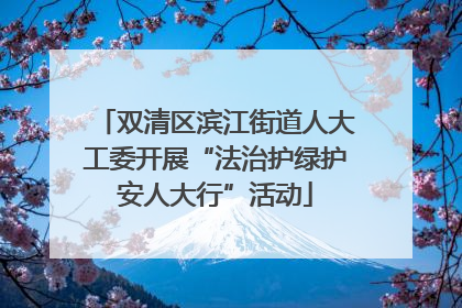 双清区滨江街道人大工委开展“法治护绿护安人大行”活动