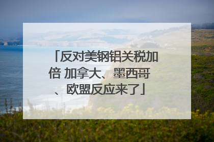 反对美钢铝关税加倍 加拿大、墨西哥、欧盟反应来了