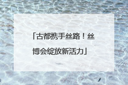 古都携手丝路！丝博会绽放新活力