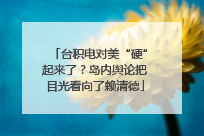 台积电对美“硬”起来了？岛内舆论把目光看向了赖清德
