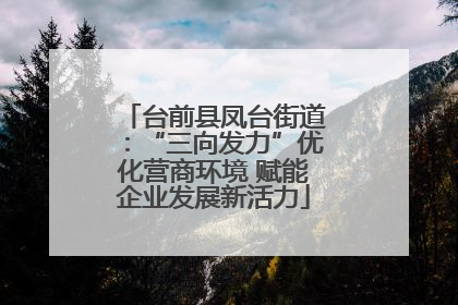 台前县凤台街道：“三向发力”优化营商环境 赋能企业发展新活力