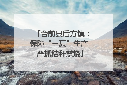 台前县后方镇：保障“三夏”生产 严抓秸秆禁烧