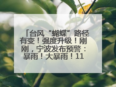 台风“蝴蝶”路径有变！强度升级！刚刚，宁波发布预警：暴雨！大暴雨！11级大风！