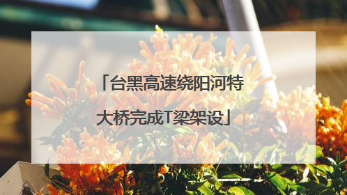 台黑高速绕阳河特大桥完成T梁架设