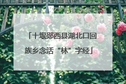 十堰郧西县湖北口回族乡念活“林”字经