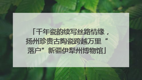 千年瓷韵续写丝路情缘，扬州珍贵古陶瓷跨越万里“落户”新疆伊犁州博物馆