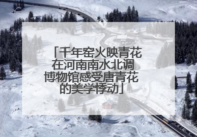 千年窑火映青花 在河南南水北调博物馆感受唐青花的美学悸动