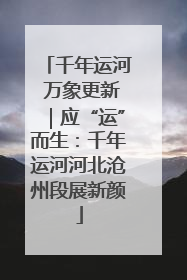 千年运河 万象更新｜应“运”而生：千年运河河北沧州段展新颜