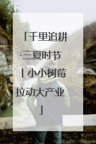 千里追耕·三夏时节丨小小树莓拉动大产业