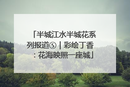 半城江水半城花系列报道⑤｜彩绘丁香：花海映照一座城