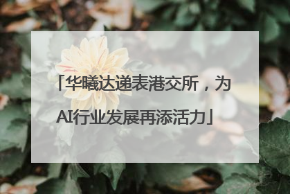 华曦达递表港交所，为AI行业发展再添活力