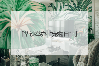 华沙举办“宠物日”