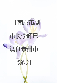 南京市副市长李晖已调任泰州市领导