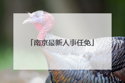 南京最新人事任免