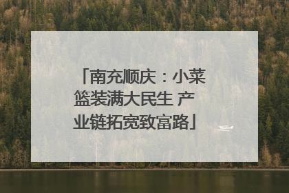 南充顺庆：小菜篮装满大民生 产业链拓宽致富路