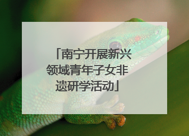 南宁开展新兴领域青年子女非遗研学活动