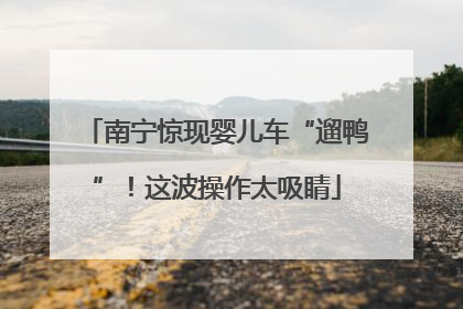 南宁惊现婴儿车“遛鸭”！这波操作太吸睛