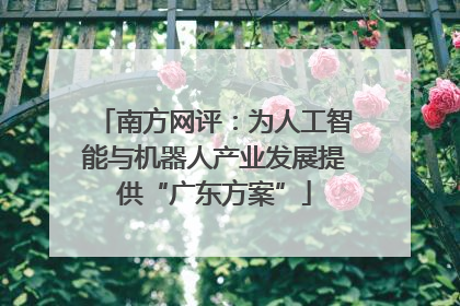 南方网评：为人工智能与机器人产业发展提供“广东方案”