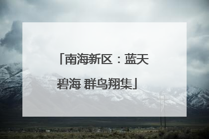 南海新区：蓝天碧海 群鸟翔集
